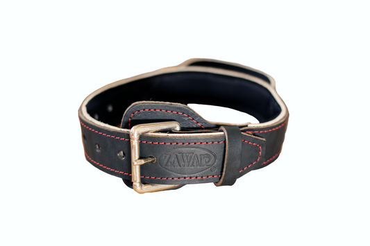 Genuine Leather Collar with Handle