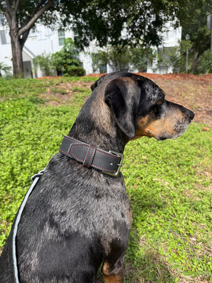 Genuine Leather Collar