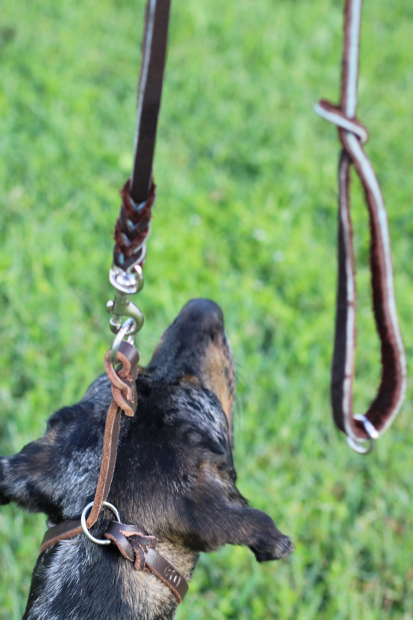 Genuine Leather Slip Lead Collar