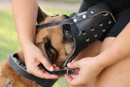 German Shepherd Genuine Leather Immobilization Muzzle