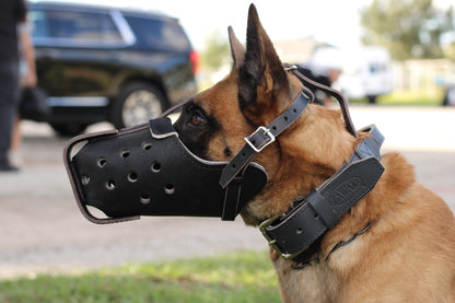 German Shepherd Genuine Leather Immobilization Muzzle