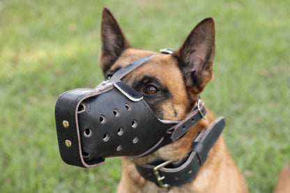 German Shepherd Genuine Leather Immobilization Muzzle