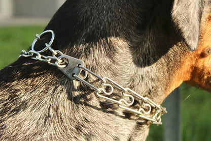 Prong Collar - Stainless Steel