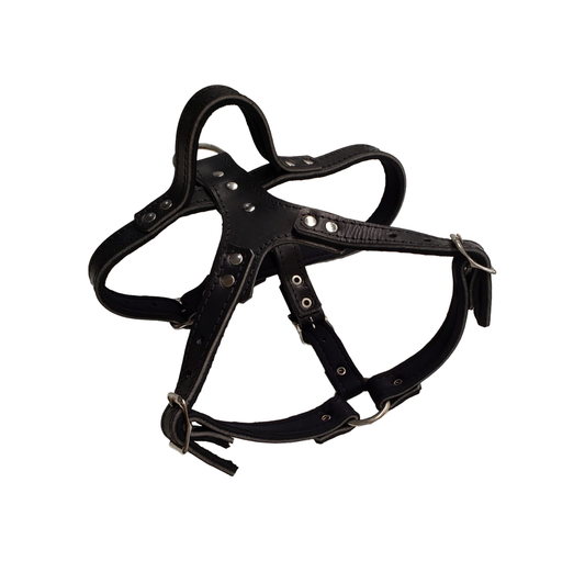 Genuine Leather Harness