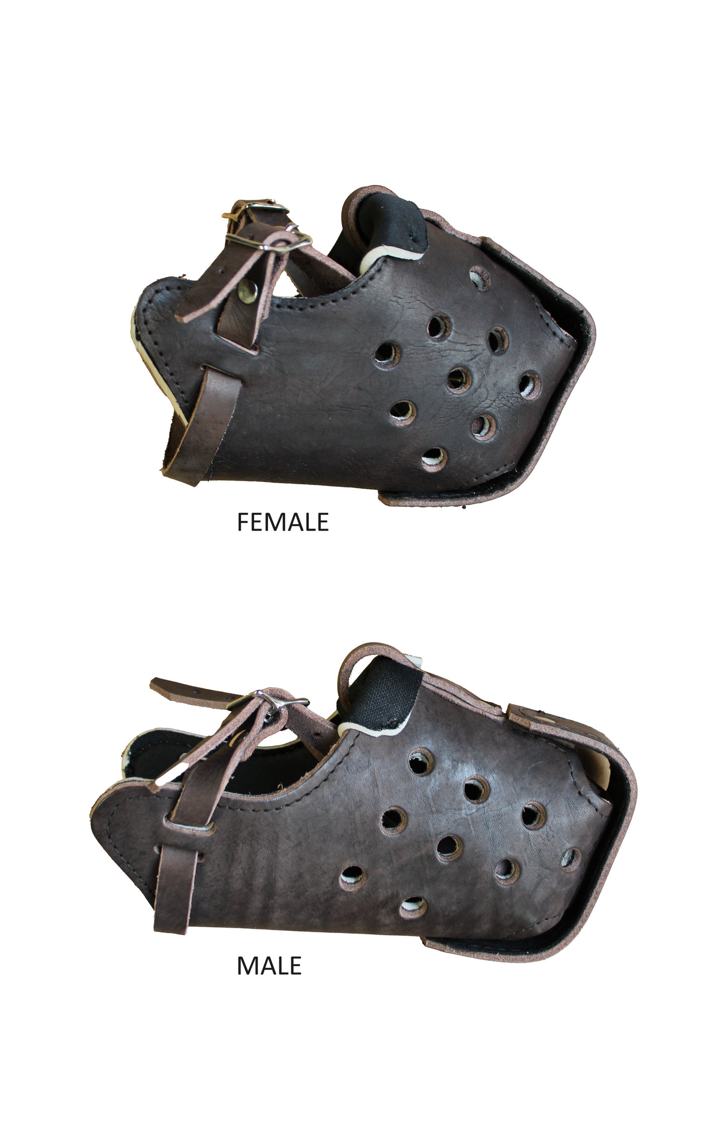 Belgian Malinois FEMALE Genuine Leather Immobilization Muzzle